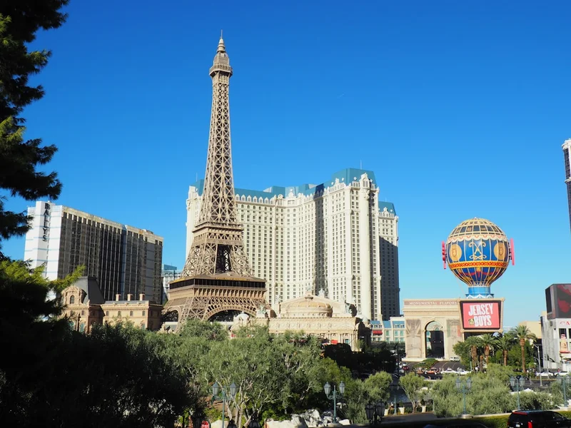 the eiffel tower towering over the city of paris
